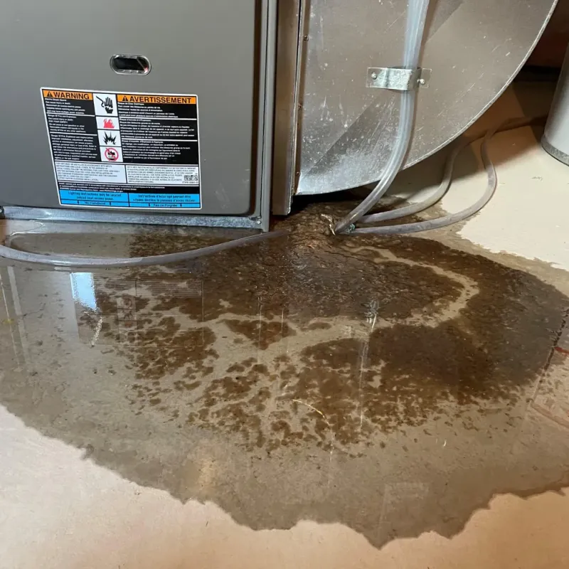 Appliance Leak Cleanup in Fort Salonga, NY